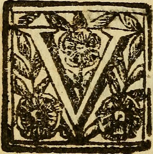 An illustration from Febris china chinae expugnata, seu, Illustr. aliquot virorum opuscula, quae veram tradunt methodum, febres china chinae curandi, 1700, leaf 23