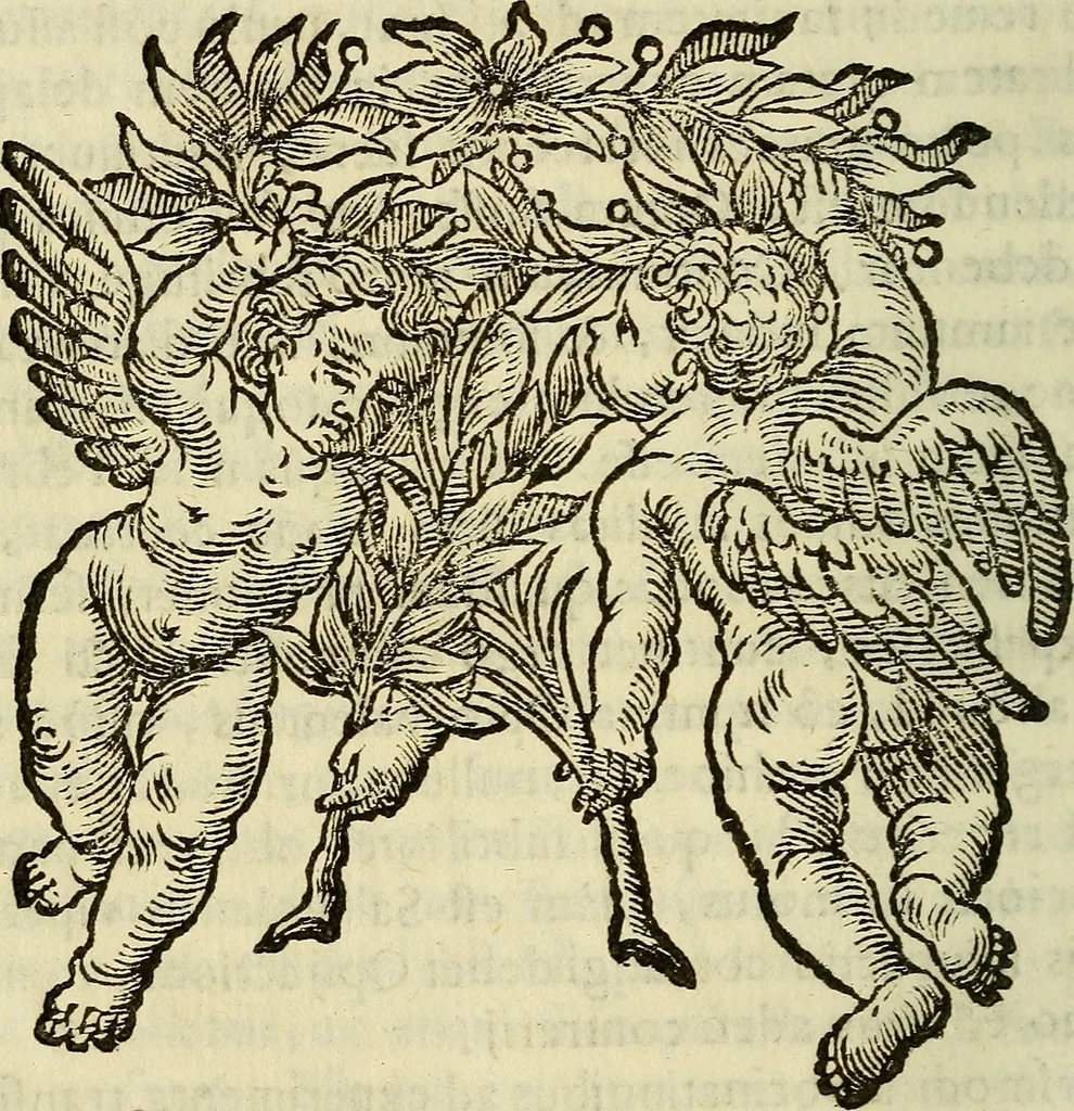 An illustration from Febris china chinae expugnata, seu, Illustr. aliquot virorum opuscula, quae veram tradunt methodum, febres china chinae curandi, 1700, leaf 241