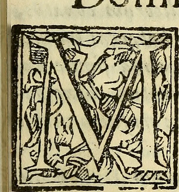 An illustration from Febris china chinae expugnata, seu, Illustr. aliquot virorum opuscula, quae veram tradunt methodum, febres china chinae curandi, 1700, leaf 246