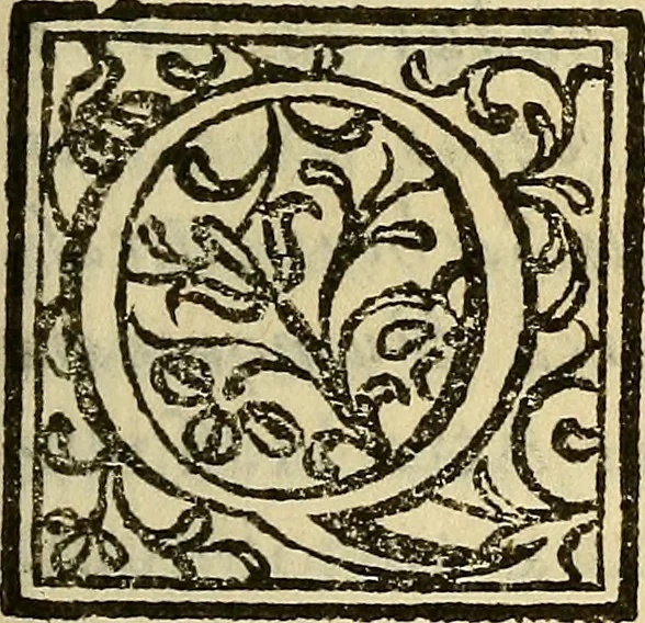 An illustration from Febris china chinae expugnata, seu, Illustr. aliquot virorum opuscula, quae veram tradunt methodum, febres china chinae curandi, 1700, leaf 36