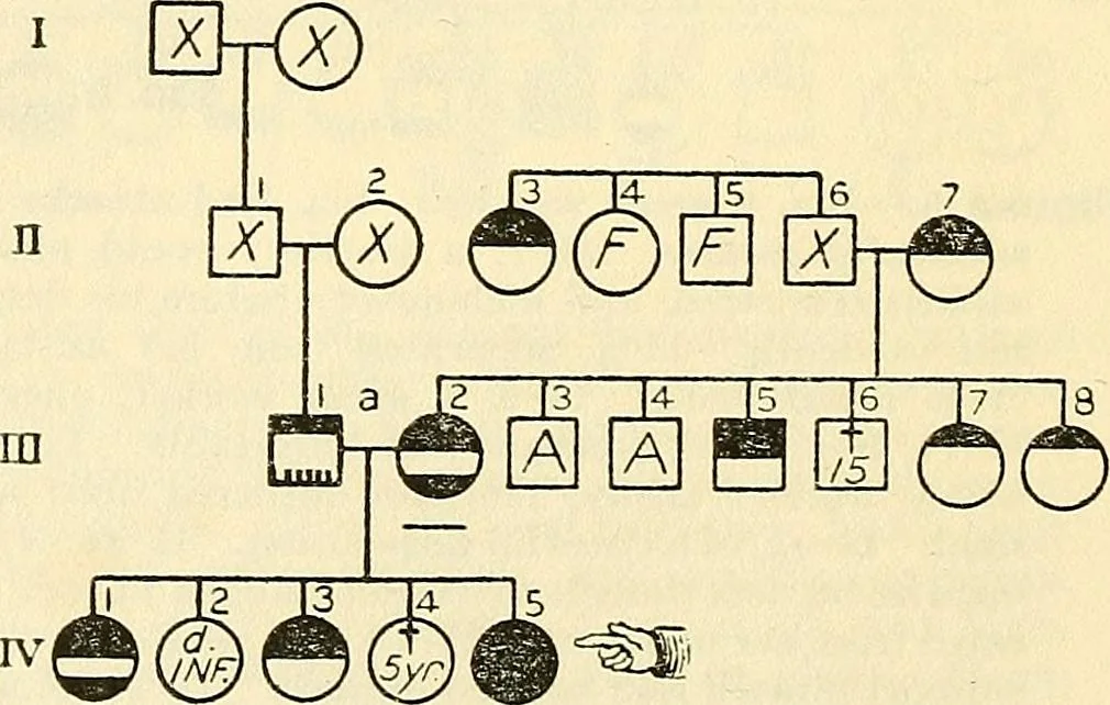 An illustration from The feebly inhibited; Nomadism, or the wandering impulse, with special reference to heredity, Inheritance of temperament, 1915, leaf 134