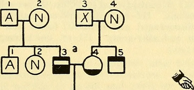An illustration from The feebly inhibited; Nomadism, or the wandering impulse, with special reference to heredity, Inheritance of temperament, 1915, leaf 135