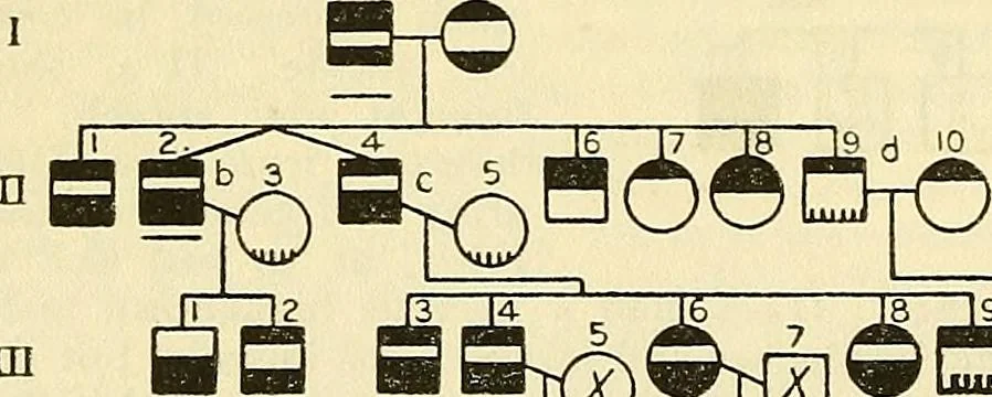 An illustration from The feebly inhibited; Nomadism, or the wandering impulse, with special reference to heredity, Inheritance of temperament, 1915, leaf 136