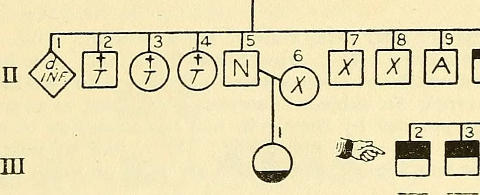 An illustration from The feebly inhibited; Nomadism, or the wandering impulse, with special reference to heredity, Inheritance of temperament, 1915, leaf 138