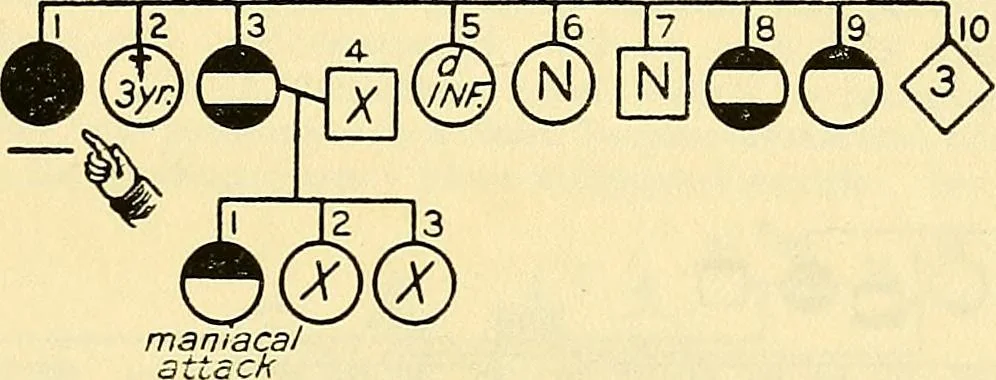An illustration from The feebly inhibited; Nomadism, or the wandering impulse, with special reference to heredity, Inheritance of temperament, 1915, leaf 139