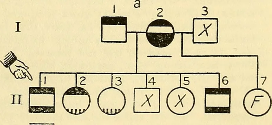 An illustration from The feebly inhibited; Nomadism, or the wandering impulse, with special reference to heredity, Inheritance of temperament, 1915, leaf 139