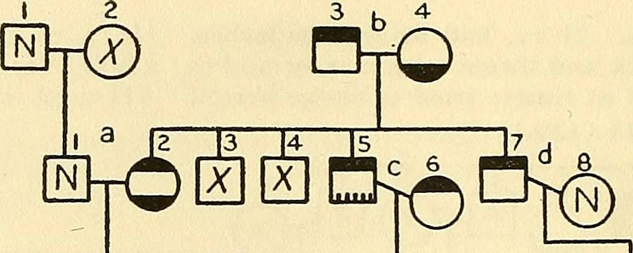 An illustration from The feebly inhibited; Nomadism, or the wandering impulse, with special reference to heredity, Inheritance of temperament, 1915, leaf 140