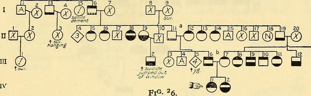 An illustration from The feebly inhibited; Nomadism, or the wandering impulse, with special reference to heredity, Inheritance of temperament, 1915, leaf 141