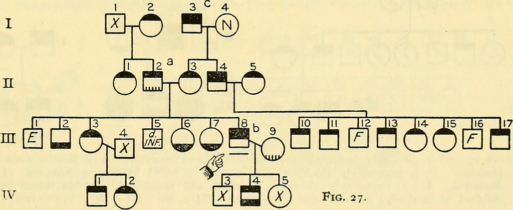An illustration from The feebly inhibited; Nomadism, or the wandering impulse, with special reference to heredity, Inheritance of temperament, 1915, leaf 141