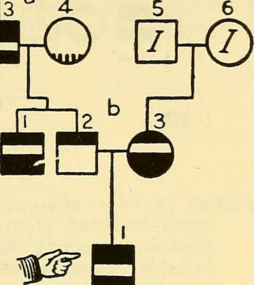 An illustration from The feebly inhibited; Nomadism, or the wandering impulse, with special reference to heredity, Inheritance of temperament, 1915, leaf 143