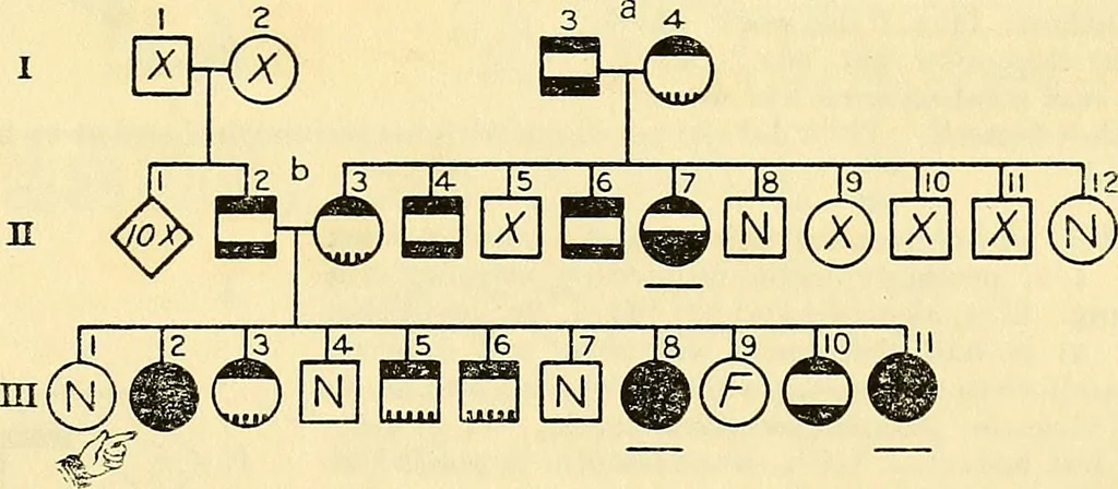 An illustration from The feebly inhibited; Nomadism, or the wandering impulse, with special reference to heredity, Inheritance of temperament, 1915, leaf 143