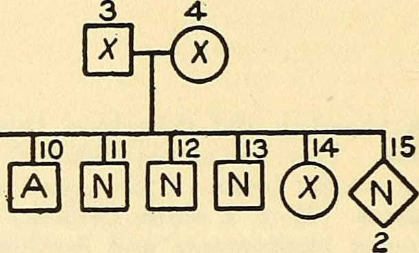 An illustration from The feebly inhibited; Nomadism, or the wandering impulse, with special reference to heredity, Inheritance of temperament, 1915, leaf 144