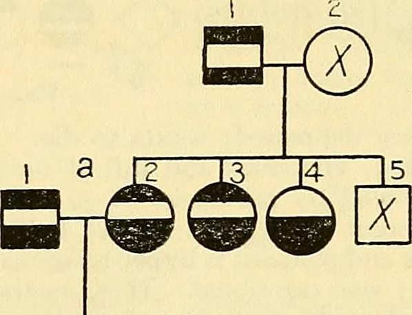An illustration from The feebly inhibited; Nomadism, or the wandering impulse, with special reference to heredity, Inheritance of temperament, 1915, leaf 145