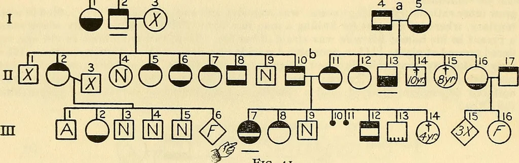 An illustration from The feebly inhibited; Nomadism, or the wandering impulse, with special reference to heredity, Inheritance of temperament, 1915, leaf 146