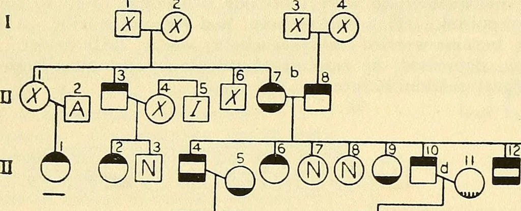 An illustration from The feebly inhibited; Nomadism, or the wandering impulse, with special reference to heredity, Inheritance of temperament, 1915, leaf 146