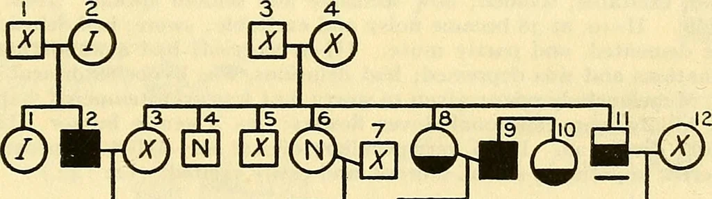 An illustration from The feebly inhibited; Nomadism, or the wandering impulse, with special reference to heredity, Inheritance of temperament, 1915, leaf 151