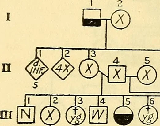 An illustration from The feebly inhibited; Nomadism, or the wandering impulse, with special reference to heredity, Inheritance of temperament, 1915, leaf 153