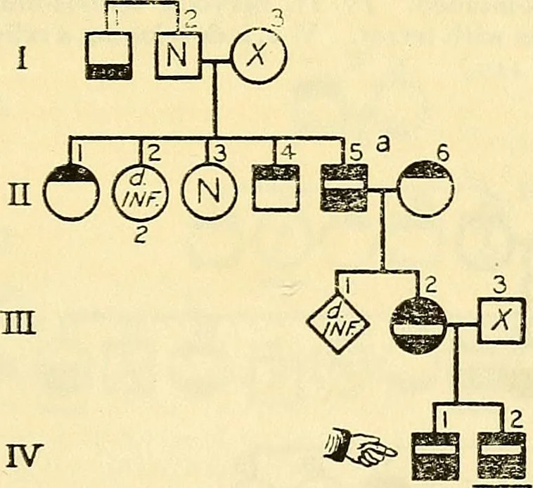 An illustration from The feebly inhibited; Nomadism, or the wandering impulse, with special reference to heredity, Inheritance of temperament, 1915, leaf 153