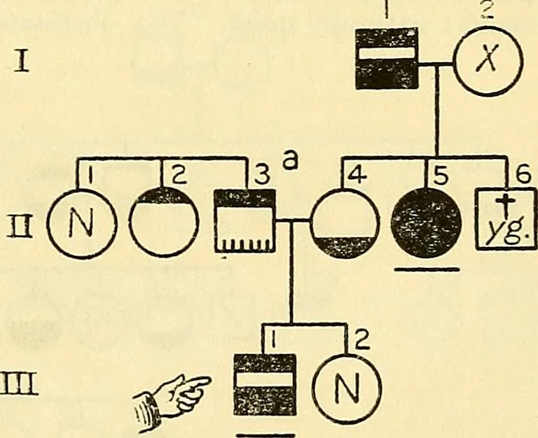 An illustration from The feebly inhibited; Nomadism, or the wandering impulse, with special reference to heredity, Inheritance of temperament, 1915, leaf 153