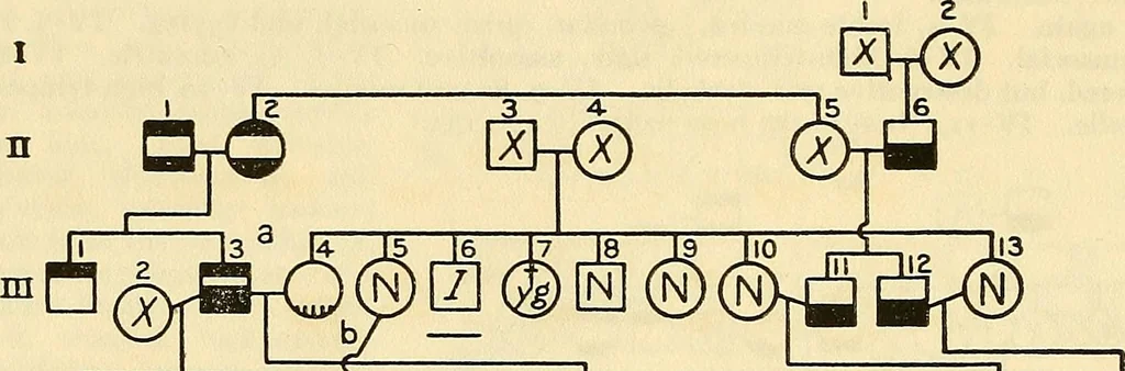 An illustration from The feebly inhibited; Nomadism, or the wandering impulse, with special reference to heredity, Inheritance of temperament, 1915, leaf 154