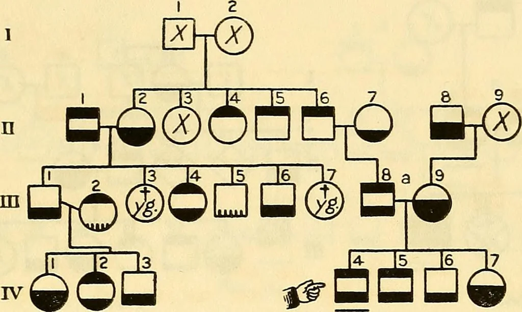 An illustration from The feebly inhibited; Nomadism, or the wandering impulse, with special reference to heredity, Inheritance of temperament, 1915, leaf 155
