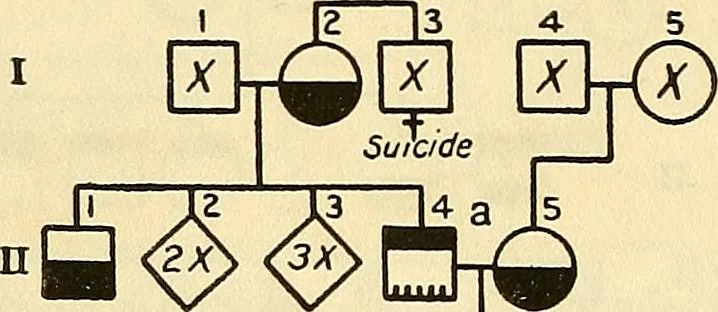 An illustration from The feebly inhibited; Nomadism, or the wandering impulse, with special reference to heredity, Inheritance of temperament, 1915, leaf 156