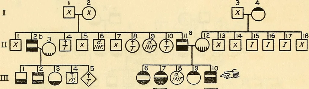 An illustration from The feebly inhibited; Nomadism, or the wandering impulse, with special reference to heredity, Inheritance of temperament, 1915, leaf 158
