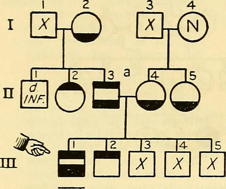 An illustration from The feebly inhibited; Nomadism, or the wandering impulse, with special reference to heredity, Inheritance of temperament, 1915, leaf 159