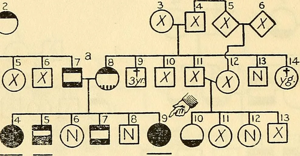 An illustration from The feebly inhibited; Nomadism, or the wandering impulse, with special reference to heredity, Inheritance of temperament, 1915, leaf 160
