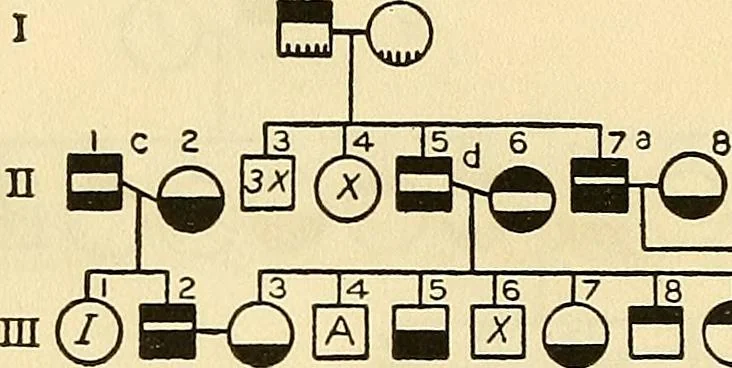 An illustration from The feebly inhibited; Nomadism, or the wandering impulse, with special reference to heredity, Inheritance of temperament, 1915, leaf 162