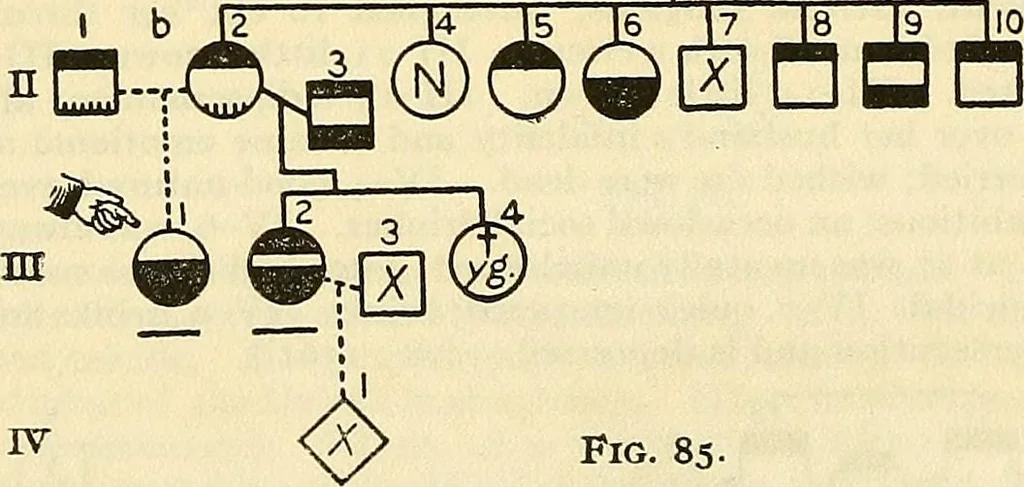 An illustration from The feebly inhibited; Nomadism, or the wandering impulse, with special reference to heredity, Inheritance of temperament, 1915, leaf 162