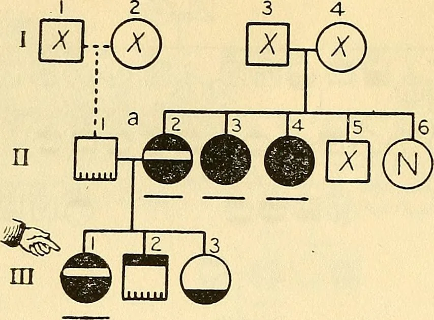 An illustration from The feebly inhibited; Nomadism, or the wandering impulse, with special reference to heredity, Inheritance of temperament, 1915, leaf 164