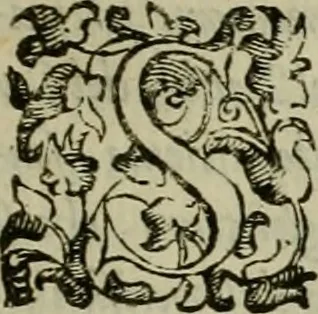 An illustration from Felsina pittrice : vite de pittori bolognesi, 1678, leaf 20
