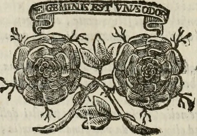 An illustration from Felsina pittrice : vite de pittori bolognesi, 1678, leaf 247