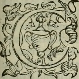 An illustration from Felsina pittrice : vite de pittori bolognesi, 1678, leaf 298