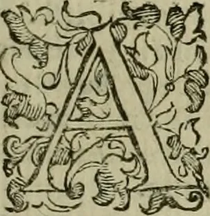 An illustration from Felsina pittrice : vite de pittori bolognesi, 1678, leaf 30