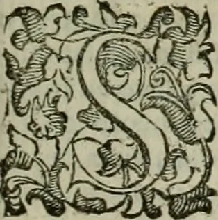 An illustration from Felsina pittrice : vite de pittori bolognesi, 1678, leaf 320
