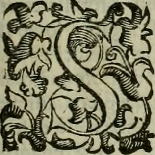 An illustration from Felsina pittrice : vite de pittori bolognesi, 1678, leaf 354