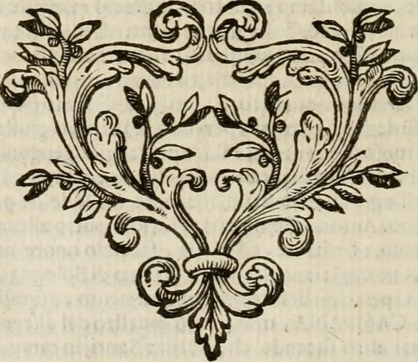 An illustration from Felsina pittrice : vite de pittori bolognesi, 1678, leaf 571