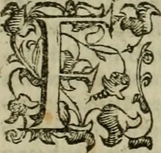 An illustration from Felsina pittrice : vite de pittori bolognesi, 1678, leaf 586