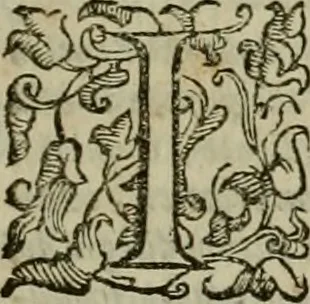 An illustration from Felsina pittrice : vite de pittori bolognesi, 1678, leaf 594