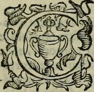 An illustration from Felsina pittrice : vite de pittori bolognesi, 1678, leaf 102