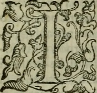 An illustration from Felsina pittrice : vite de pittori bolognesi, 1678, leaf 138