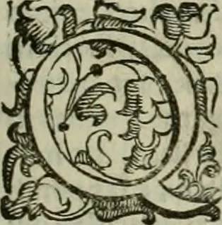 An illustration from Felsina pittrice : vite de pittori bolognesi, 1678, leaf 148