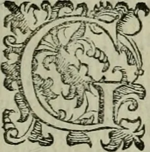 An illustration from Felsina pittrice : vite de pittori bolognesi, 1678, leaf 166