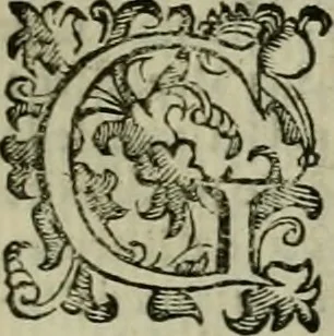 An illustration from Felsina pittrice : vite de pittori bolognesi, 1678, leaf 224