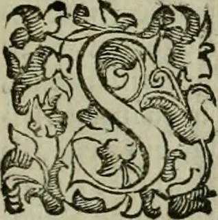An illustration from Felsina pittrice : vite de pittori bolognesi, 1678, leaf 232