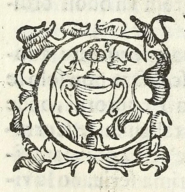 An illustration from Felsina pittrice : vite de pittori bolognesi, 1678, leaf 105