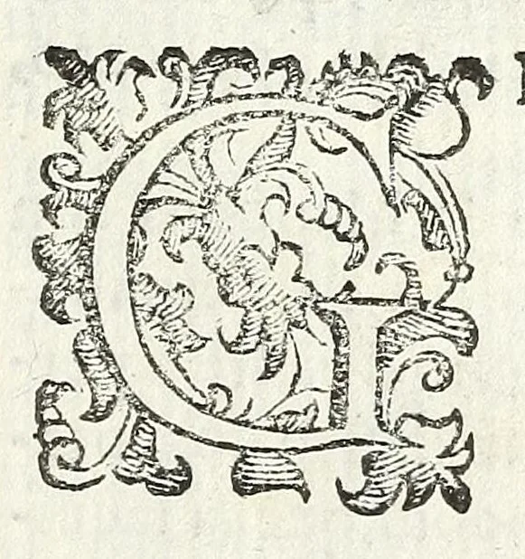 An illustration from Felsina pittrice : vite de pittori bolognesi, 1678, leaf 169