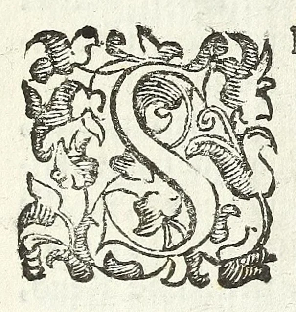 An illustration from Felsina pittrice : vite de pittori bolognesi, 1678, leaf 235